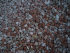 stonetec030010.jpg