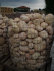 stonetec030018.jpg