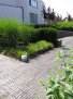 stonetec1014003.jpg