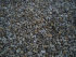 stonetec1030019.jpg