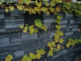 stonetec1051011.jpg