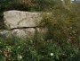 stonetec1052008.jpg