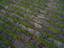 stonetec1059001.jpg