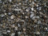 stonetec1066009.jpg