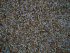 stonetec1066012.jpg