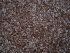 stonetec1066014.jpg