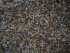 stonetec1066015.jpg