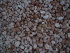 stonetec1066016.jpg
