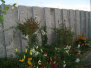 stonetec1068007.jpg