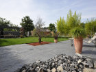 stonetec1164005.jpg