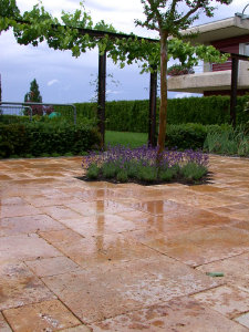 stonetec1169005.jpg