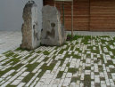 stonetec1170007.jpg