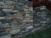 stonetec1175014.jpg