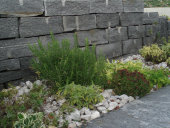 stonetec1176012.jpg