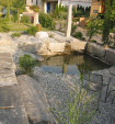 stonetec1177005.jpg