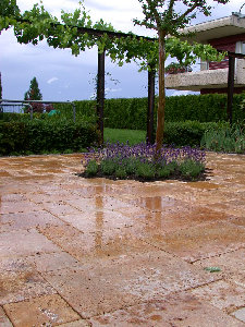 stonetec140006.jpg