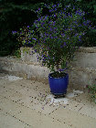 stonetec168014.jpg